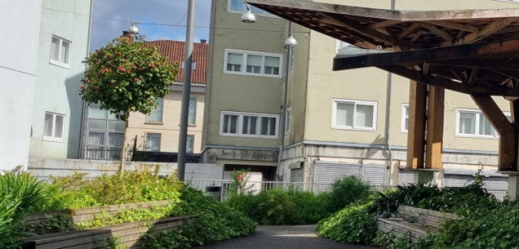 Reclaman a limpeza da vexetación que invade os espazos públicos no barrio de Vista Alegre