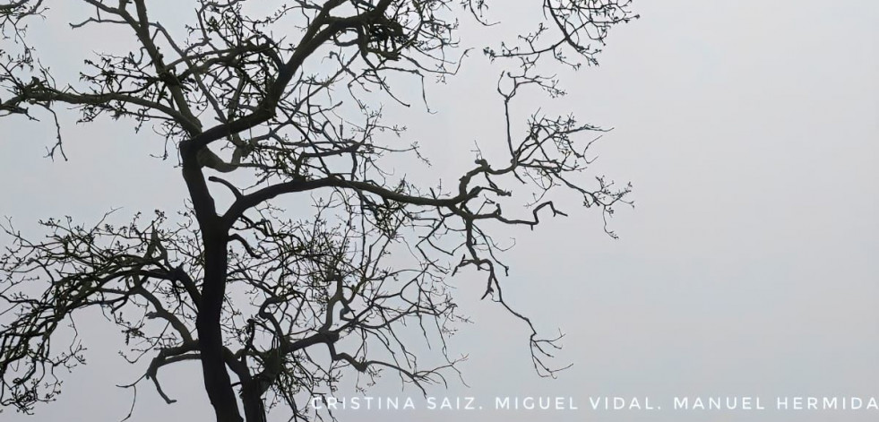 El Lustres Rivas acoge mañana ‘Ruralízate’, una exposición de fotografía rural