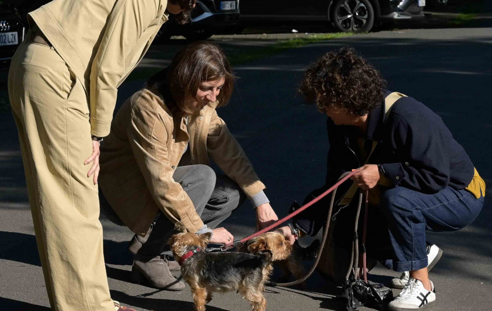 La conselleira de Medio Ambiente apela a adoptar animales desde Oleiros