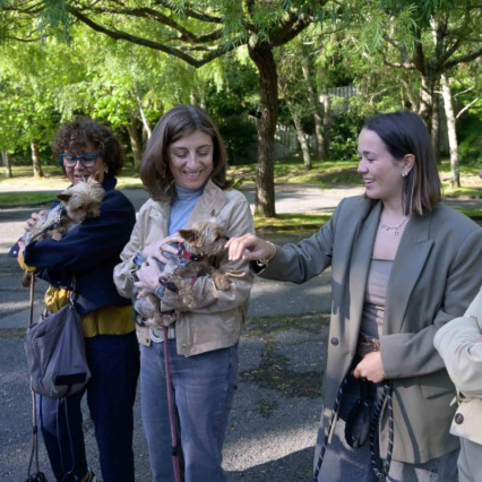 La Xunta entregará hasta 150 euros por adoptar a un animal abandonado