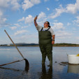 La crisis salarial en el marisqueo