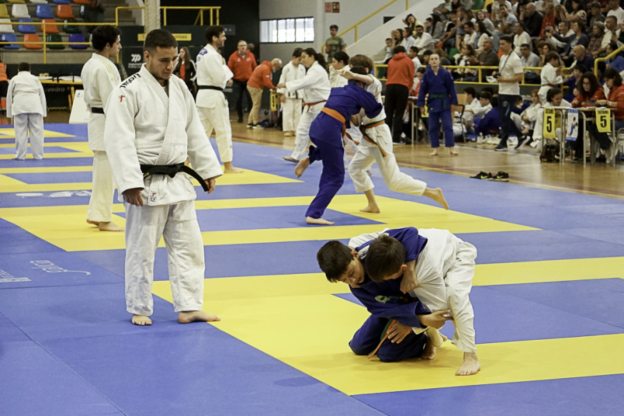 La cantera arousana de judo conquista el Príncipe Felipe de Pontevedra