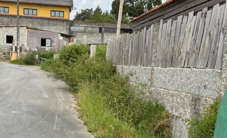 El BNG de Meis solicita una campaña de limpieza de caminos, viales y aceras