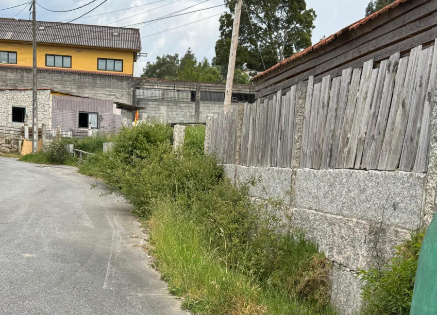 El BNG de Meis solicita una campaña de limpieza de caminos, viales y aceras