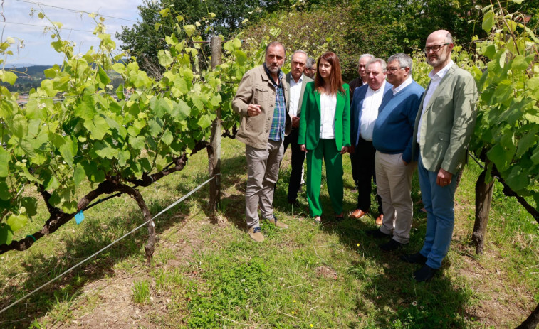 La legalización para la venta del tinto Barrantes y ampliación de parcelas será como pronto en 2027