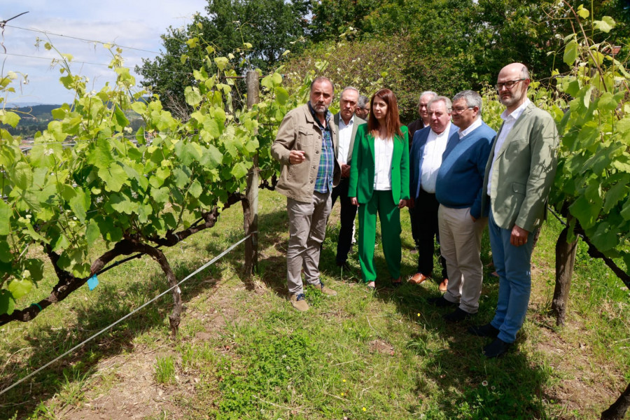 La legalización para la venta del tinto Barrantes y ampliación de parcelas será como pronto en 2027