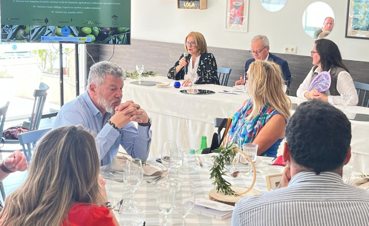 Almazaras de toda España participan en la IV Cata de Aceites de Oliva Virgen Extra