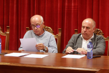 Pleno vilanova