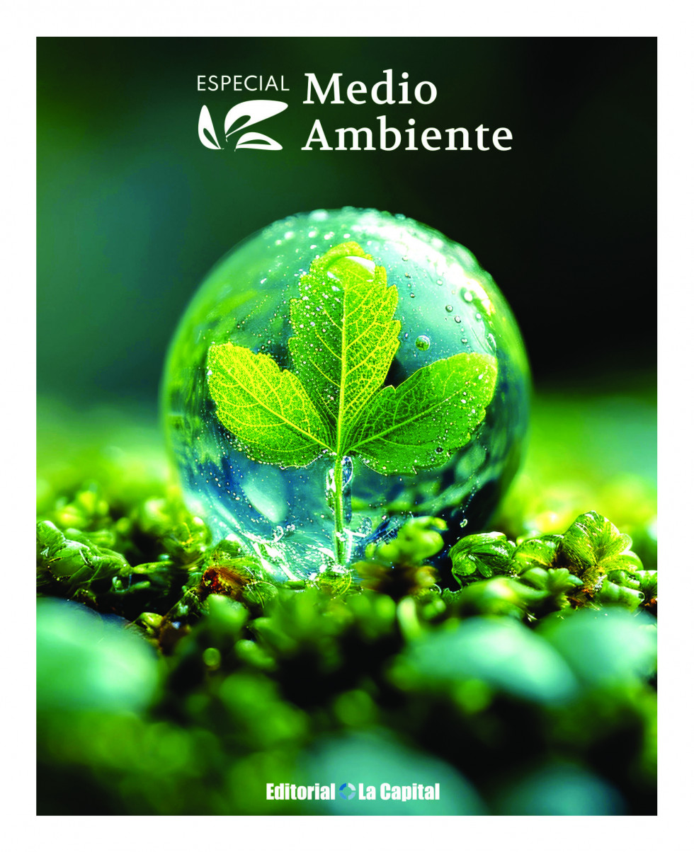 EspecialMedioAmbiente 2