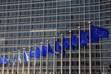 Galicia1UNIONEUROPEAANOSADHESION