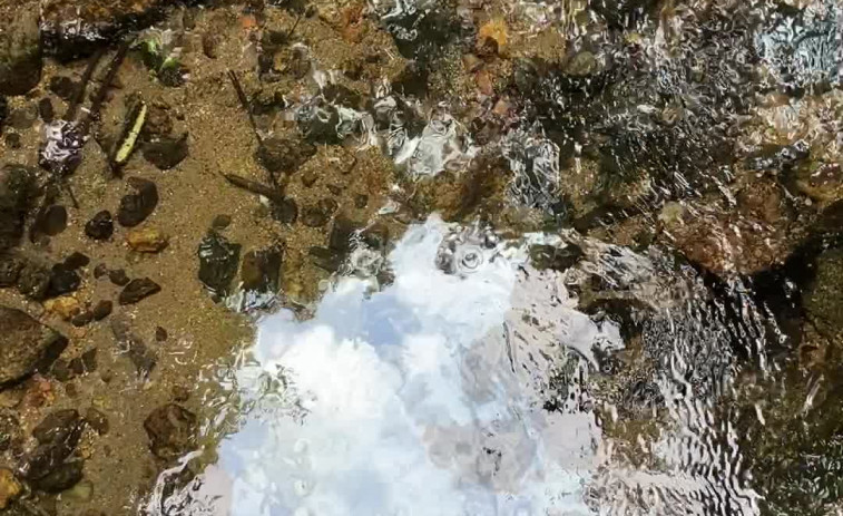 Investigan el origen de un grave vertido de gasoil al cauce del río de O Con