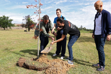 Plantacion arboles xiabre