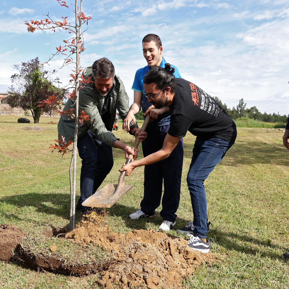 Concello y Universidade de Vigo colaboran en la creación del ‘bosque-escola Juan Pérez Eyré’