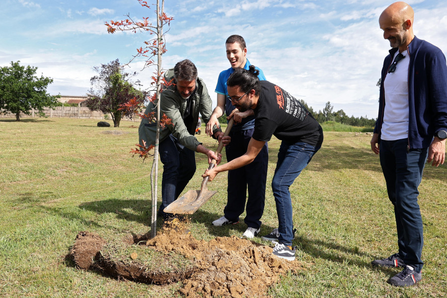 Concello y Universidade de Vigo colaboran en la creación del ‘bosque-escola Juan Pérez Eyré’