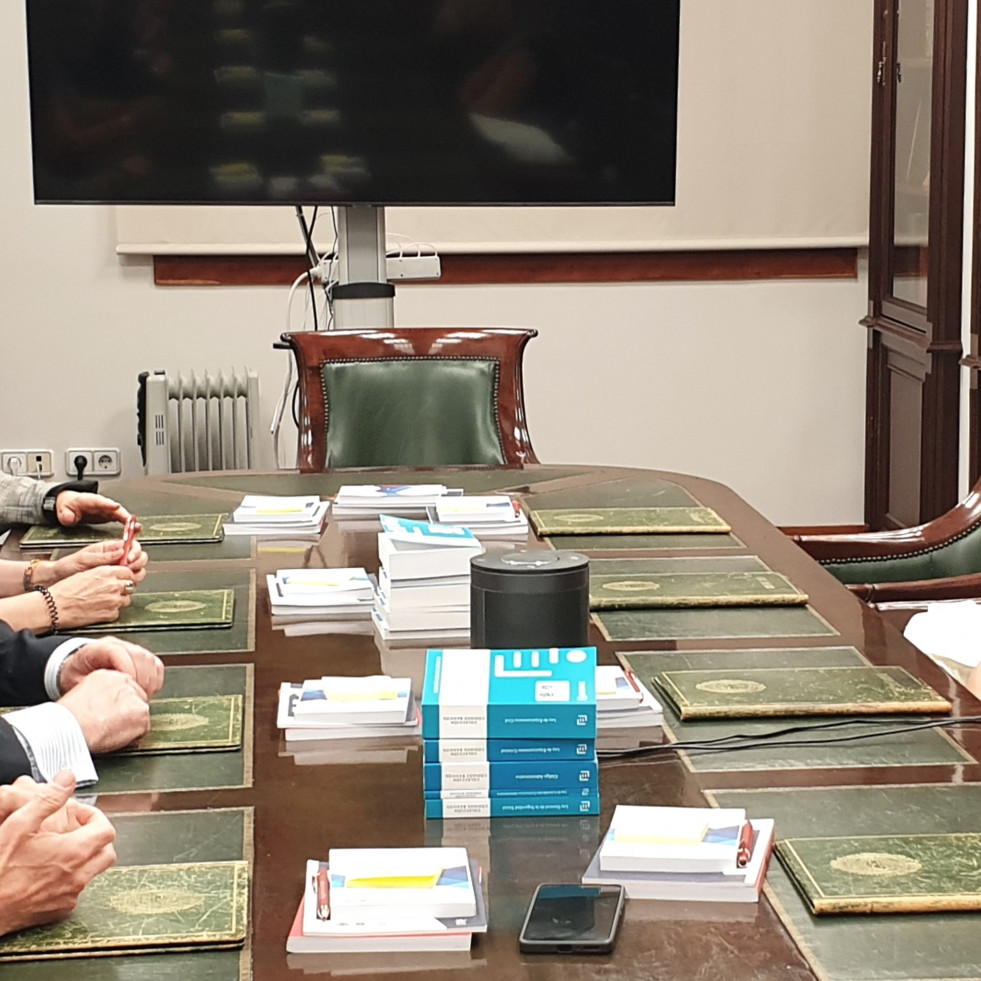 Los abogados defienden ante la Valedora do Pobo las competencias del partido judicial de Ribeira en materia de violencia de género