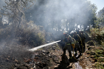 Incendio forestal