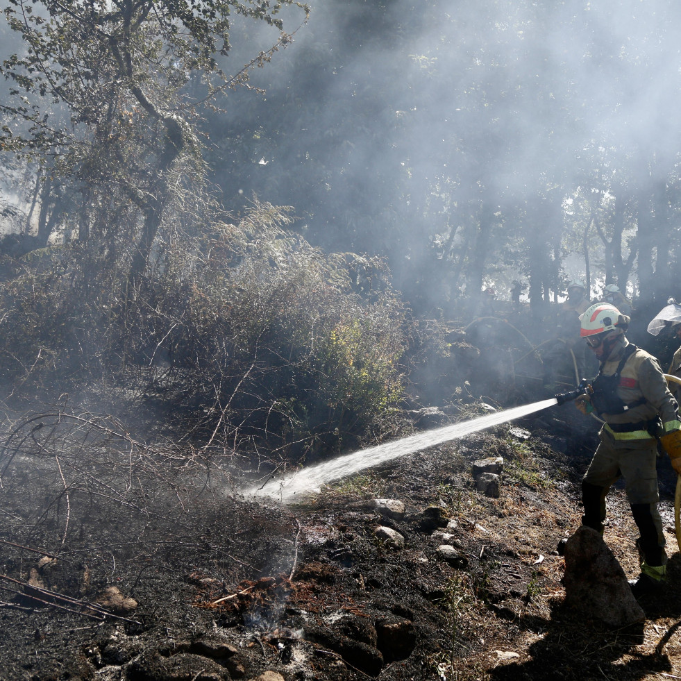 Un incendio forestal calcina más de 3.000 metros cuadrados de terreno en András