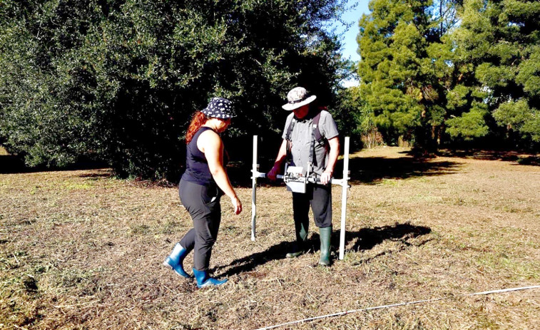 Nuevos hallazgos en el Castro de Alobre de Vilagarcía: incrementa sus dimensiones hacia el sur y registra indicios de ocupación medieval
