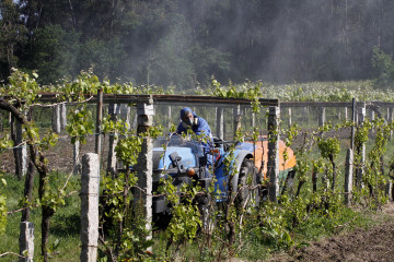 Sulfatando fitosanitarios viñas