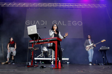 Guadi galego