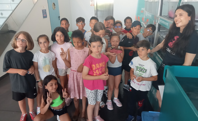 Reinsertan 456 ejemplares de gorgonia recuperados en el hospital de corales que Amicos tiene en la lonja de Ribeira