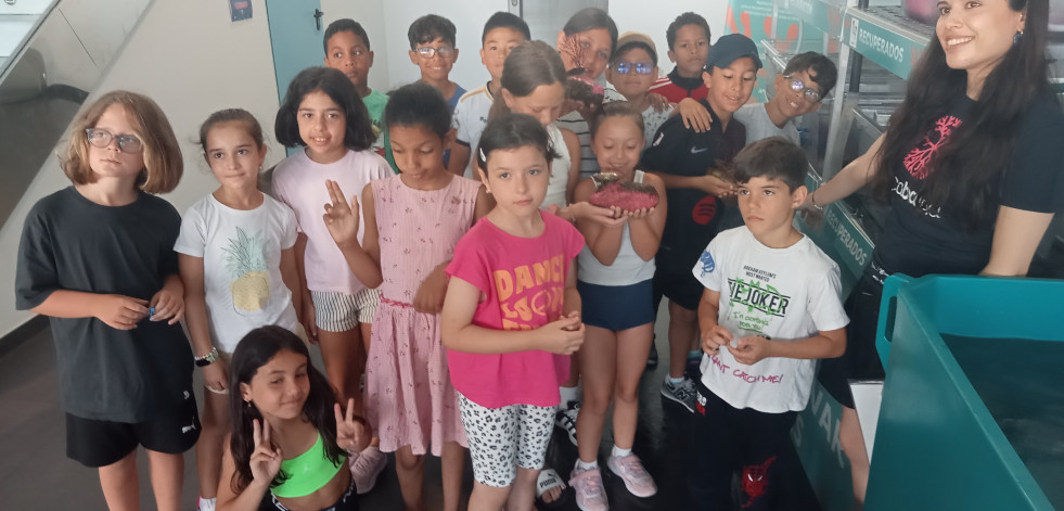 Reinsertan 456 ejemplares de gorgonia recuperados en el hospital de corales que Amicos tiene en la lonja de Ribeira