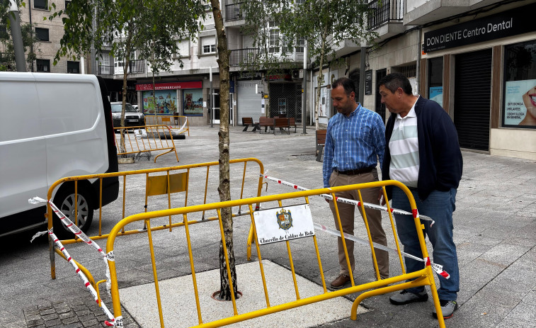 Caldas continuará sus trabajos de limpieza de alcorques en la avenida Dolores Mosquera