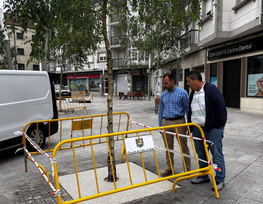 Caldas continuará sus trabajos de limpieza de alcorques en la avenida Dolores Mosquera