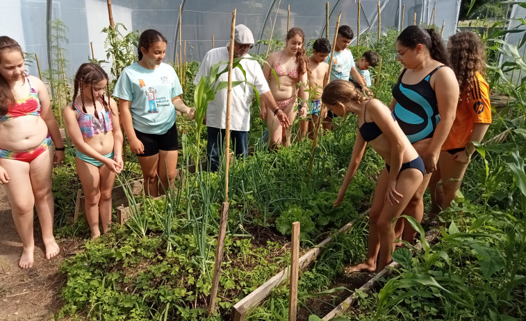 El colegio de Artes creó este curso su propio invernadero y en un par de meses ya ha dado sus primeros cultivos
