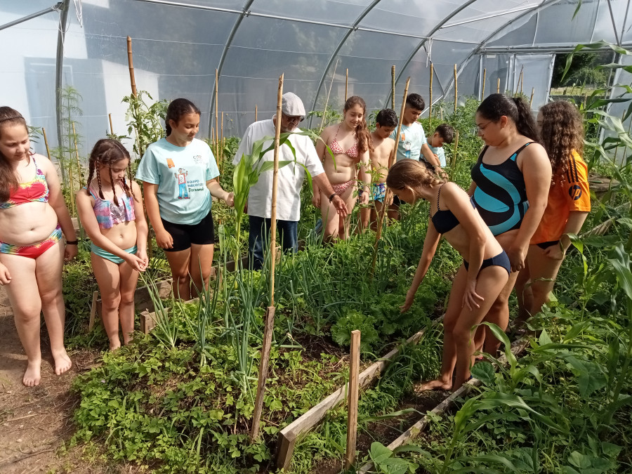El colegio de Artes creó este curso su propio invernadero y en un par de meses ya ha dado sus primeros cultivos