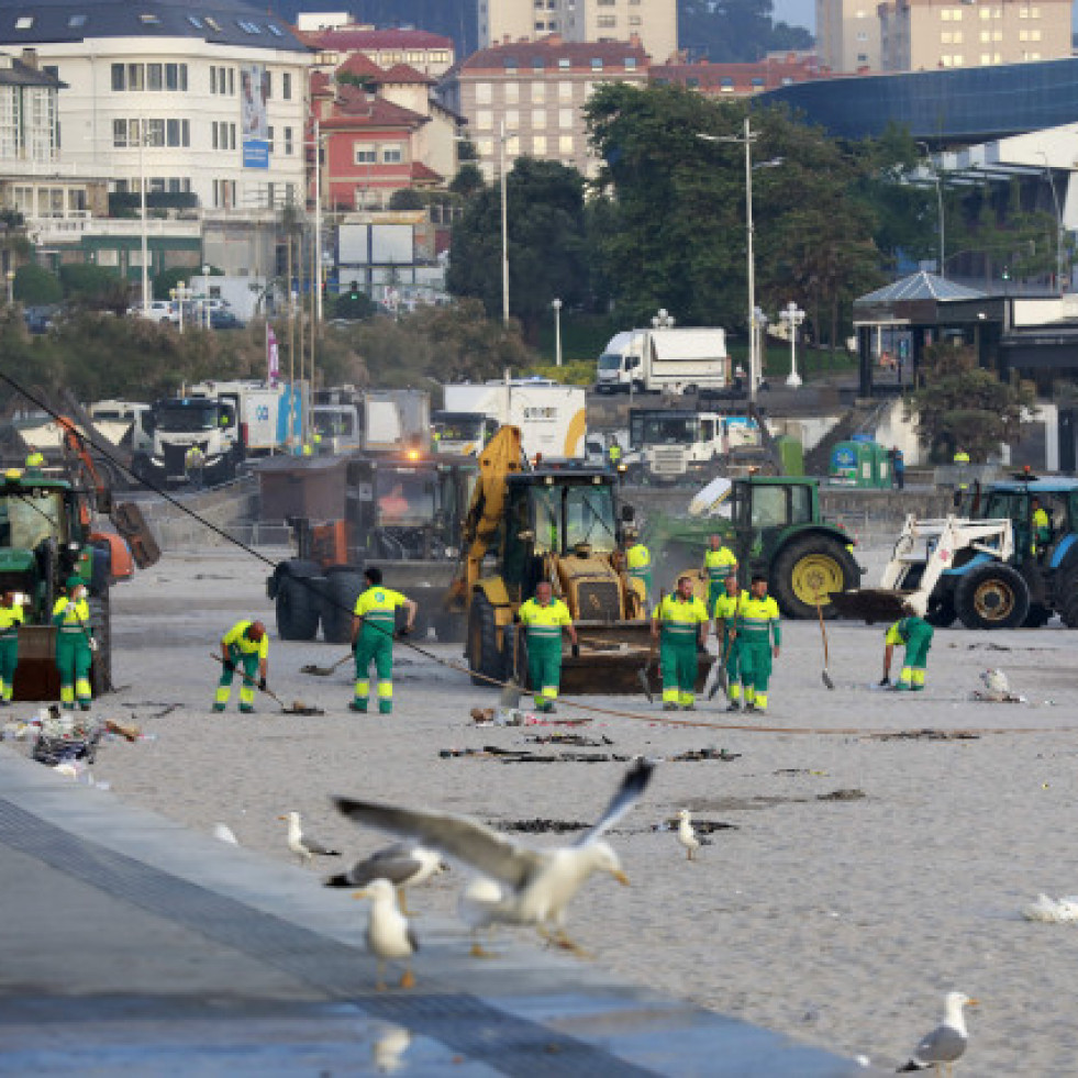 San Juan también para las gaviotas
