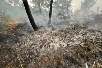 Incendio terron