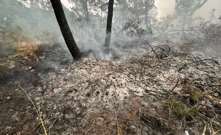 Un nuevo incendio forestal en O Terrón calcina más de 4.000 metros cuadrados