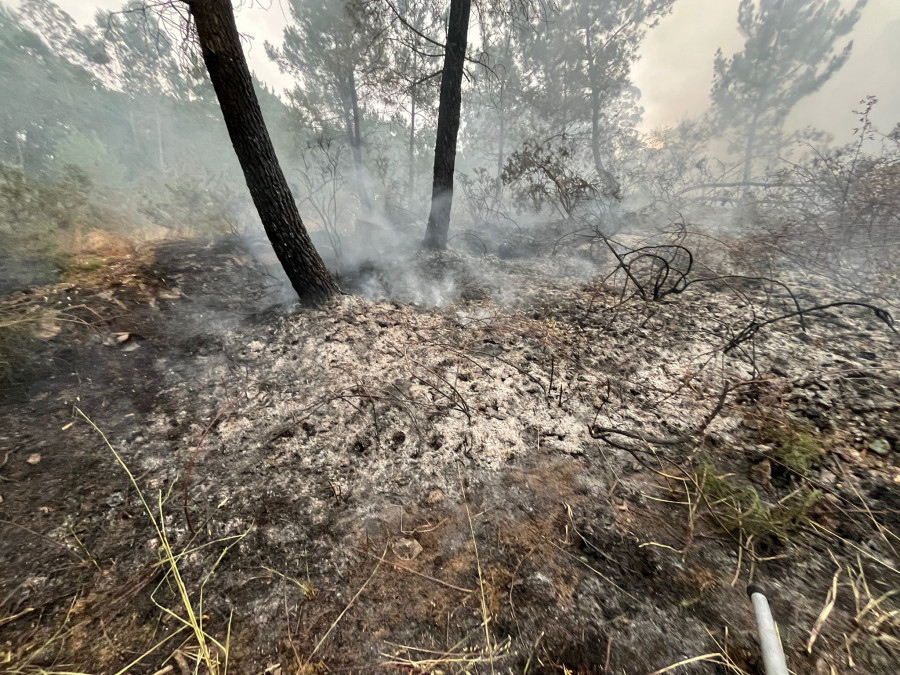 Un nuevo incendio forestal en O Terrón calcina más de 4.000 metros cuadrados