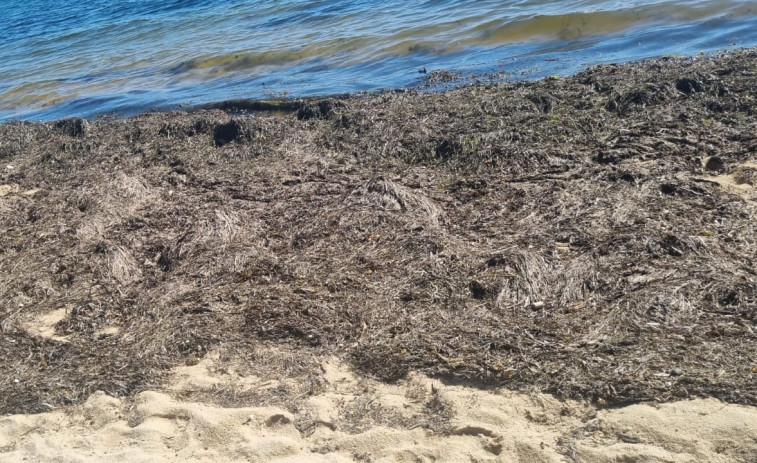 El PSOE de Vilanova acusa al gobierno ante el “abandono” y falta de limpieza en la Praia das Patiñas