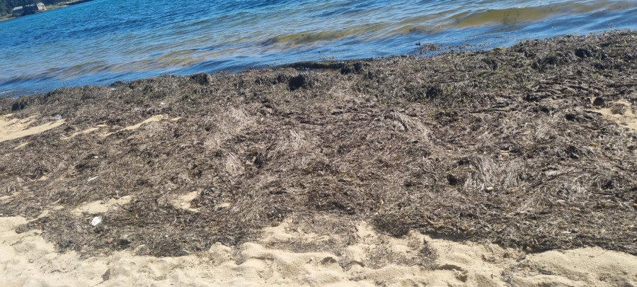 El PSOE de Vilanova acusa al gobierno ante el “abandono” y falta de limpieza en la Praia das Patiñas