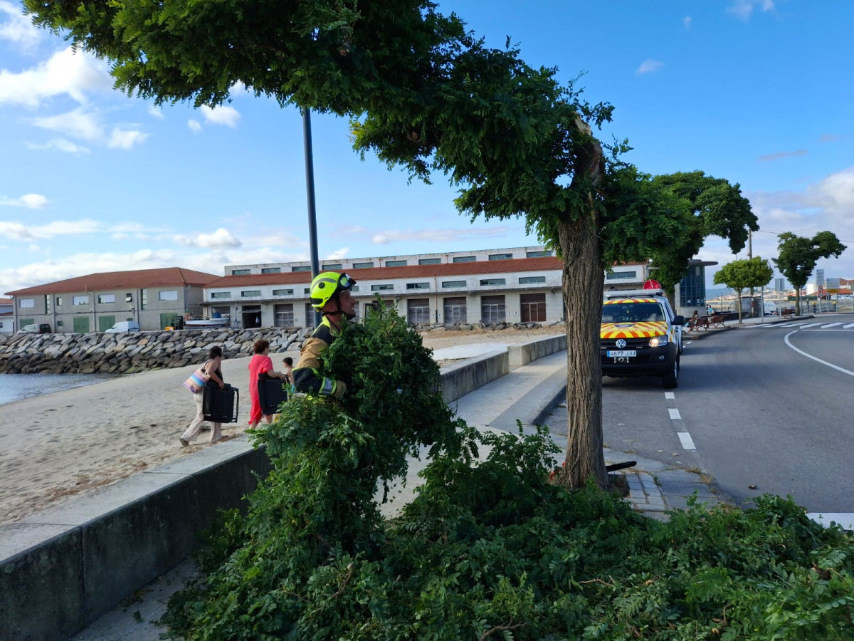 Arbol preguntoiro