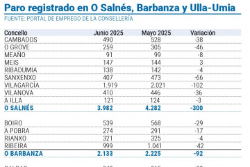 Paro junio