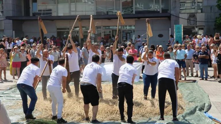 Una vistosa malla de centeno llama poderosamente la atención durante la celebración de las Festas do Verán de Boiro