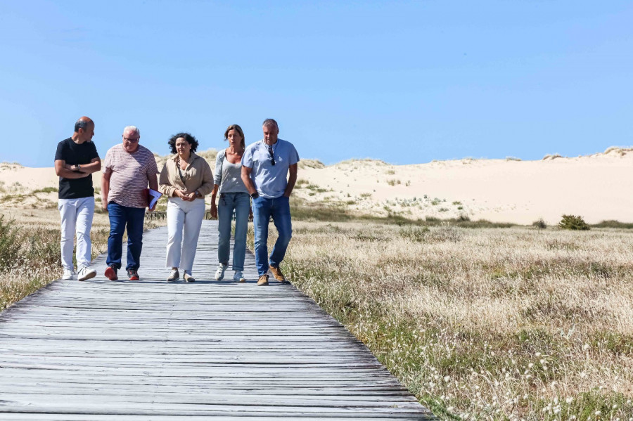 La Xunta visita Corrubedo tras aplicar su plan contra el avance del pinar en las dunas