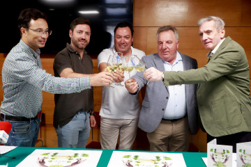 Presentación Festa do Albariño