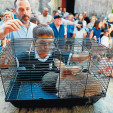 Las “poxas” más milagreras por San Benito