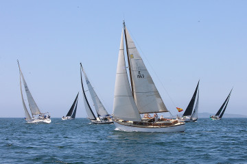 585X4201 (medios)