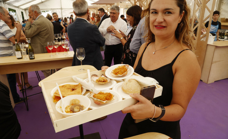 En empanada, al horno, con crema de calabaza y con arroz: Cambados exaltará a la vieira con la meta de las 16.000 unidades