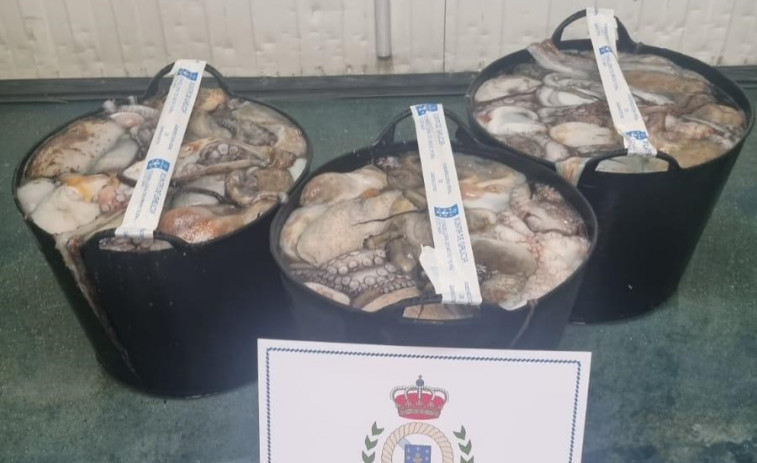 Interceptan al patrón mayor de Portonovo con 116 kilos de pulpo ilegal