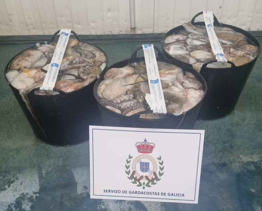 Interceptan al patrón mayor de Portonovo con 116 kilos de pulpo ilegal