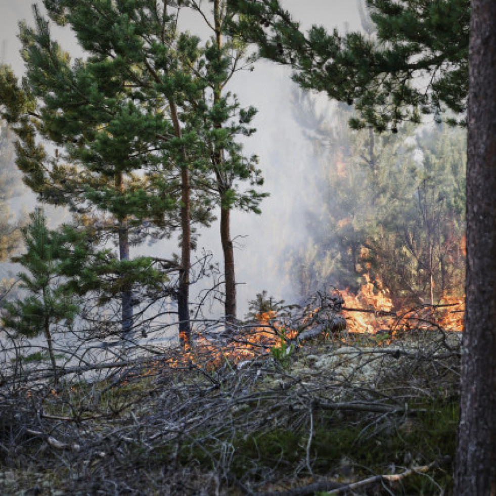 Extinguido el incendio forestal de Lalín tras quemar 83 hectáreas