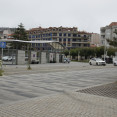 DSC5565