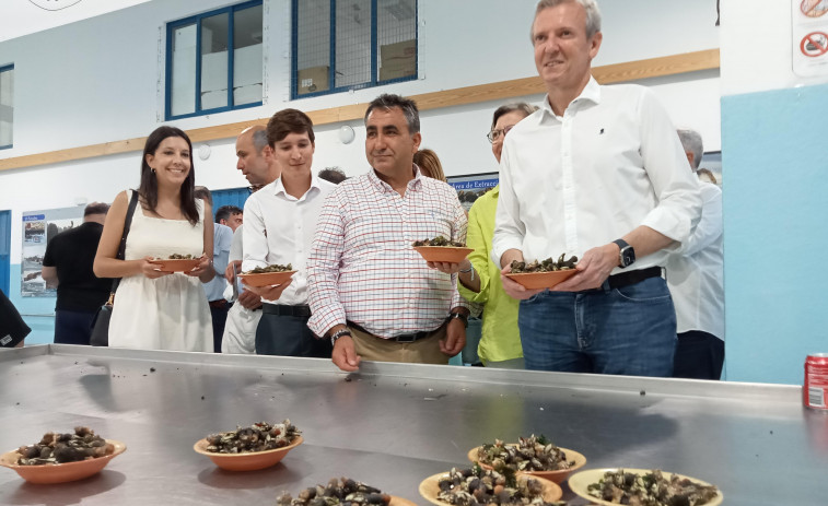 Aguiño servirá mañana cientos de percebes con subida de precios y mejora en los servicios