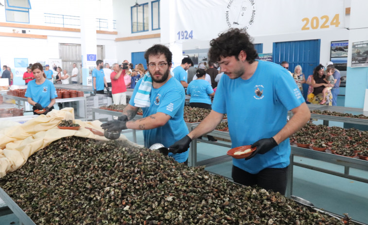 La Festa do Percebe de Aguiño cumple 26 años con largas colas y una tonelada de producto vendido